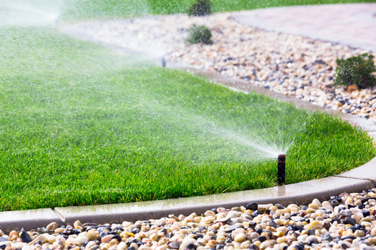 Irrigation and Lighting